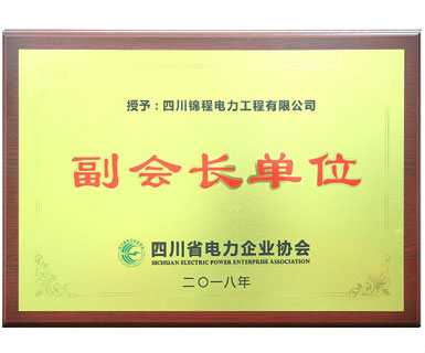 四川省電力企業(yè)協(xié)會(huì )副會(huì )長(cháng)單位